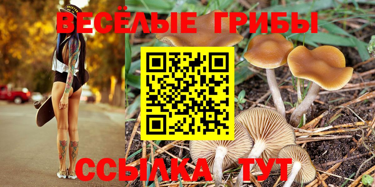 Железногорск  Вход с VPN  ГАШИШ  Меф кристаллы  Alpha-PVP СОЛЬ кристаллы  ГАШ  Конопля  Cocaine  Меф МЯУ МЯУ 